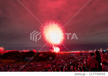 《東京都》江戸川(市川)花火大会・江戸川区から撮影 117750593