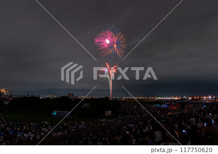 《東京都》江戸川(市川)花火大会・江戸川区から撮影 117750620