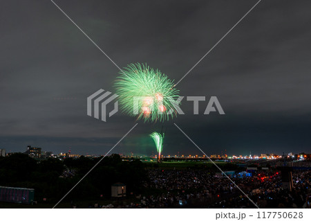 《東京都》江戸川(市川)花火大会・江戸川区から撮影 117750628