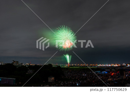《東京都》江戸川(市川)花火大会・江戸川区から撮影 117750629