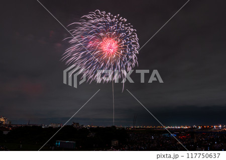 《東京都》江戸川(市川)花火大会・江戸川区から撮影 117750637