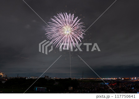 《東京都》江戸川(市川)花火大会・江戸川区から撮影 《東京都》江戸川(市川)花火大会・江戸川区から撮影 117750641