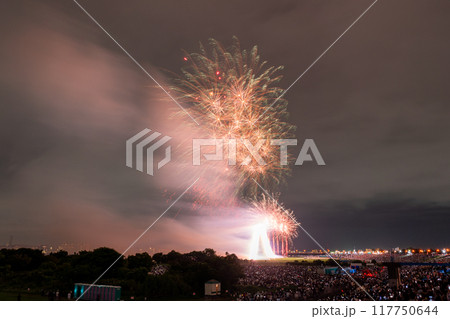 《東京都》江戸川(市川)花火大会・江戸川区から撮影 117750644
