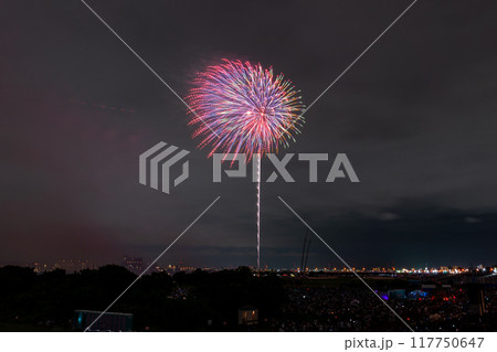 《東京都》江戸川(市川)花火大会・江戸川区から撮影 117750647