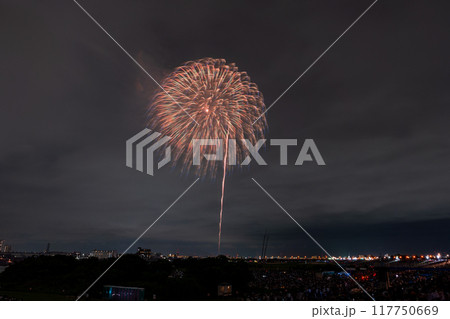 《東京都》江戸川(市川)花火大会・江戸川区から撮影 117750669
