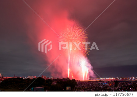 《東京都》江戸川(市川)花火大会・江戸川区から撮影 117750677