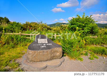 《長野県》下諏訪町　夏の八島湿原 117751170
