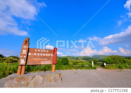 《長野県》下諏訪町 夏の八島湿原 《長野県》下諏訪町 夏の八島湿原 117751198