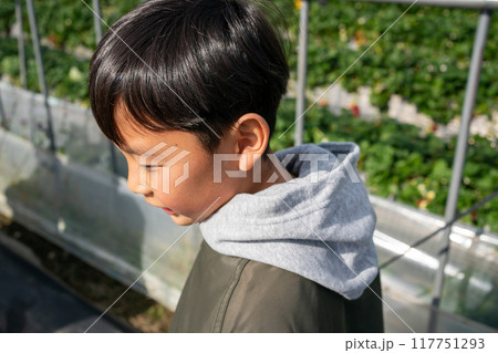 10 years old 117751293