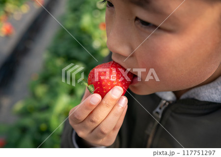 10 years old 10 years old 117751297