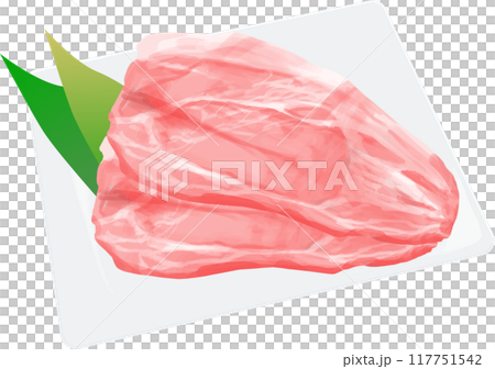 豚肉ベクターイラスト 豚肉ベクターイラスト 117751542