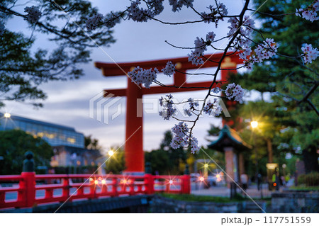 平安神宮の大鳥居と桜2023年春 117751559