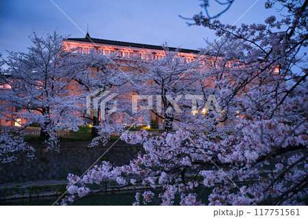琵琶湖疎水の桜と夕焼け2023年春 琵琶湖疎水の桜と夕焼け2023年春 117751561