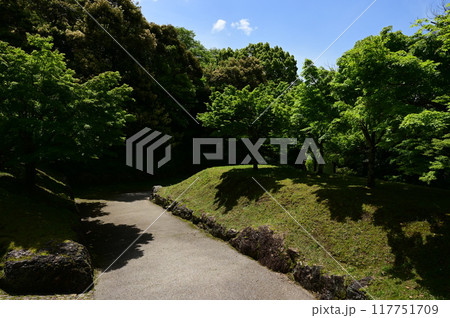 山麓城主居館跡と石垣(岐阜城金華山) 山麓城主居館跡と石垣(岐阜城金華山) 117751709