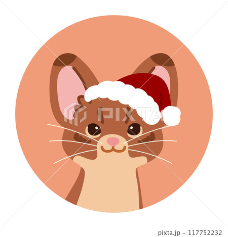 クリスマスのシンプルで可愛いアビシニアンの丸いアイコンイラスト 117752232