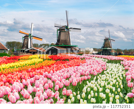 Dutch wind mills Dutch wind mills 117752351