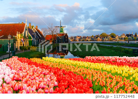 Dutch wind mills 117752448