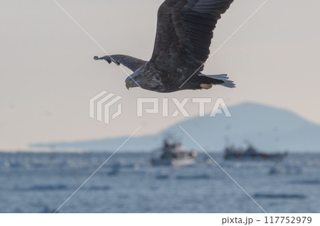 知床 冬 知床 冬 117752979