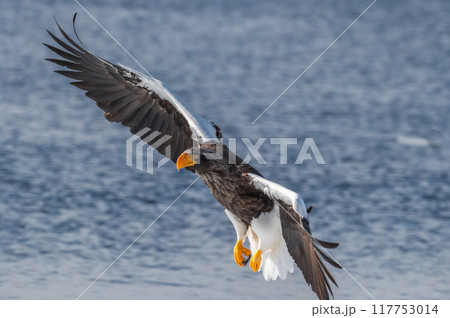 知床　冬 117753014