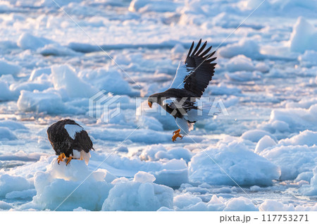 知床 冬 知床 冬 117753271