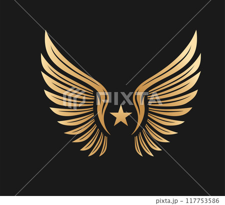 Golden Winged with Star symbol Golden Winged with Star symbol 117753586
