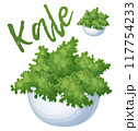 Green kale in a bowl icon isolated on white background. Cartoon vector ingredients illustration 117754233