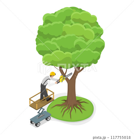 3D Isometric Flat Vector Set of Professional Gardener, Gardens and Parks Maintenance Service, Tree Pruning. Item 3 3D Isometric Flat Vector Set of Professional Gardener, Gardens and Parks Maintenance Service, Tree Pruning. Item 3 117755018