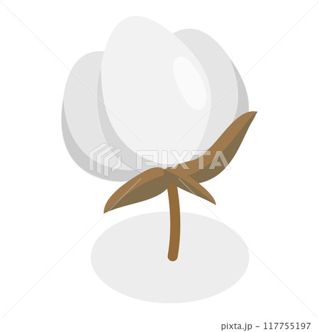 3D Isometric Flat Vector Illustration of Cotton Flower Collection, Pure and Organic Product. Item 3 3D Isometric Flat Vector Illustration of Cotton Flower Collection, Pure and Organic Product. Item 3 117755197