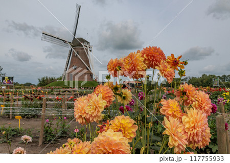 Landscape near Eibergen in the dutch gelderland Landscape near Eibergen in the dutch gelderland 117755933