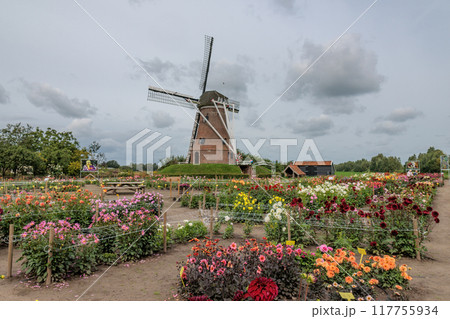 Landscape near Eibergen in the dutch gelderland 117755934