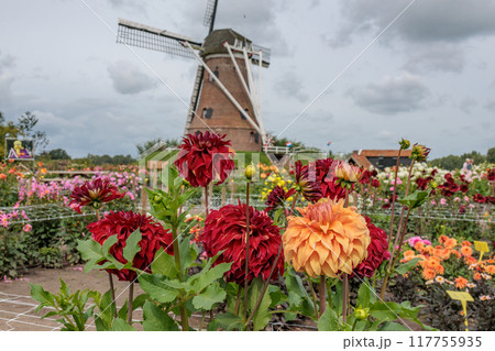 Landscape near Eibergen in the dutch gelderland Landscape near Eibergen in the dutch gelderland 117755935