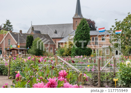 Landscape near Eibergen in the dutch gelderland 117755949