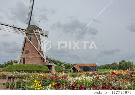 Landscape near Eibergen in the dutch gelderland 117755973