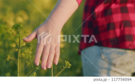 Girl Relax On Holidays Morning Vacation. Girl Walks Through Meadow In Thick High Yellow Rapeseed Field And Her Hand Touches Tops Of Flowers In Rays Of Sunset. 117756094