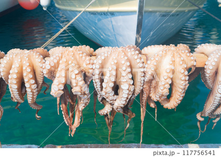Sun dried fish 117756541