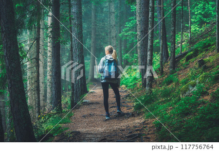 Woman in a blue jacket with backpack is walking on a forest trai Woman in a blue jacket with backpack is walking on a forest trai 117756764