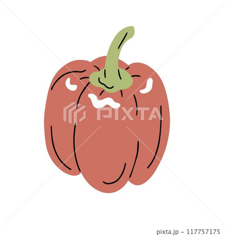 Bell pepper on white background 117757175