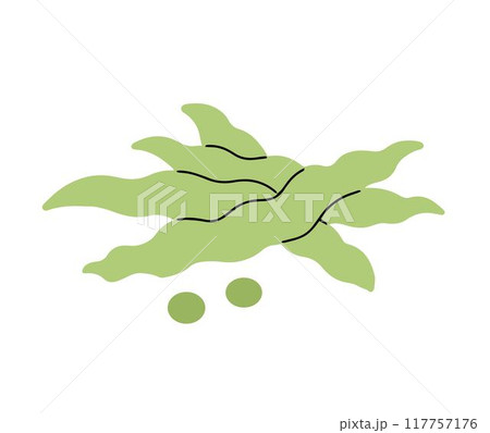 Green beans on white background Green beans on white background 117757176