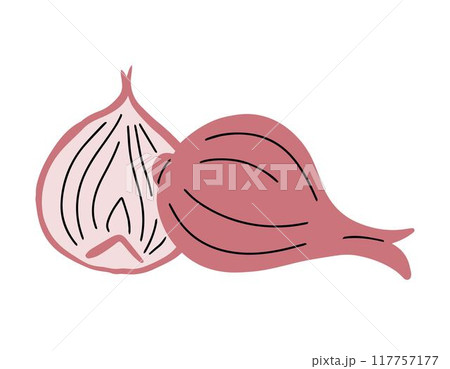 Onions on a white background 117757177