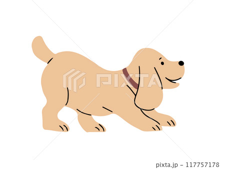 Cheerful dog spaniel on white background 117757178