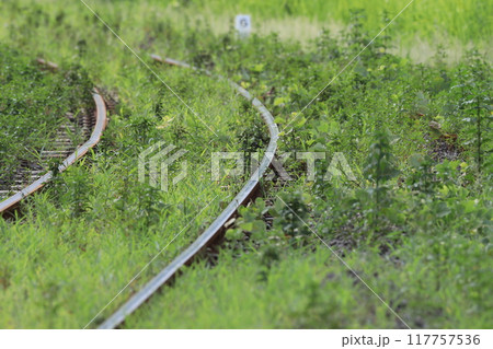 線路 イメージ 117757536