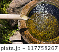 松本市・辰巳の庭の石の水鉢 117758267