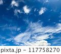 初秋の青空 117758270