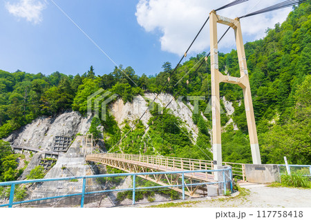 初夏の立山黒部アルペンルート　黒部ダム（黒部湖）　カンパ谷の吊り橋 117758418