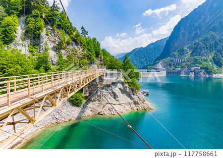 初夏の立山黒部アルペンルート　黒部ダム（黒部湖）　カンパ谷の吊り橋 117758661