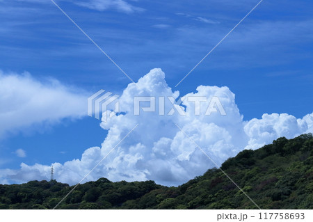 雲の峰　（高知県　高知市　筆山） 117758693