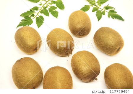 フレッシュなキウイフルーツ 117759494