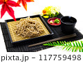 秋を感じる日本食のざるそば 117759498