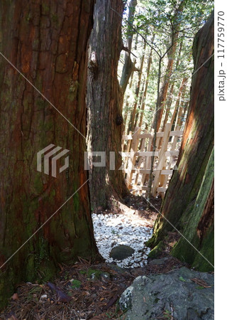 玉置神社・玉石社 117759770