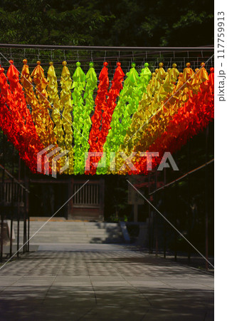 静岡:法多山尊永寺のカラフルなてるてる坊主 117759913